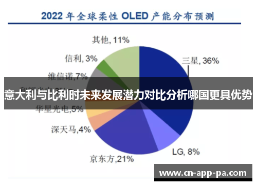 意大利与比利时未来发展潜力对比分析哪国更具优势 意大利与比利时未来发展潜力对比分析哪国更具优势