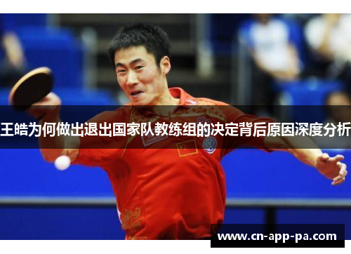 王皓为何做出退出国家队教练组的决定背后原因深度分析 王皓为何做出退出国家队教练组的决定背后原因深度分析