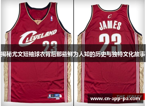 揭秘尤文短袖球衣背后那些鲜为人知的历史与独特文化故事 揭秘尤文短袖球衣背后那些鲜为人知的历史与独特文化故事