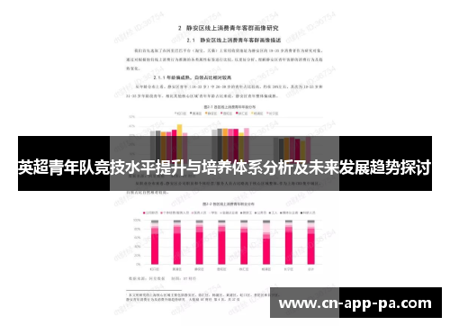 英超青年队竞技水平提升与培养体系分析及未来发展趋势探讨 英超青年队竞技水平提升与培养体系分析及未来发展趋势探讨