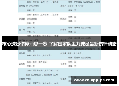 核心球员伤停消息一览 了解国家队主力球员最新伤情动态